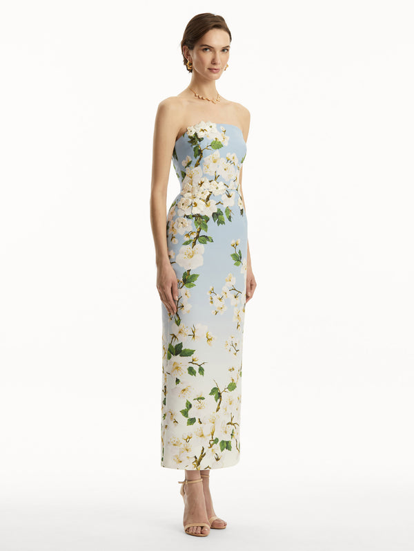 Oscar De La Renta Ombré Cherry Blossom Strapless Gown