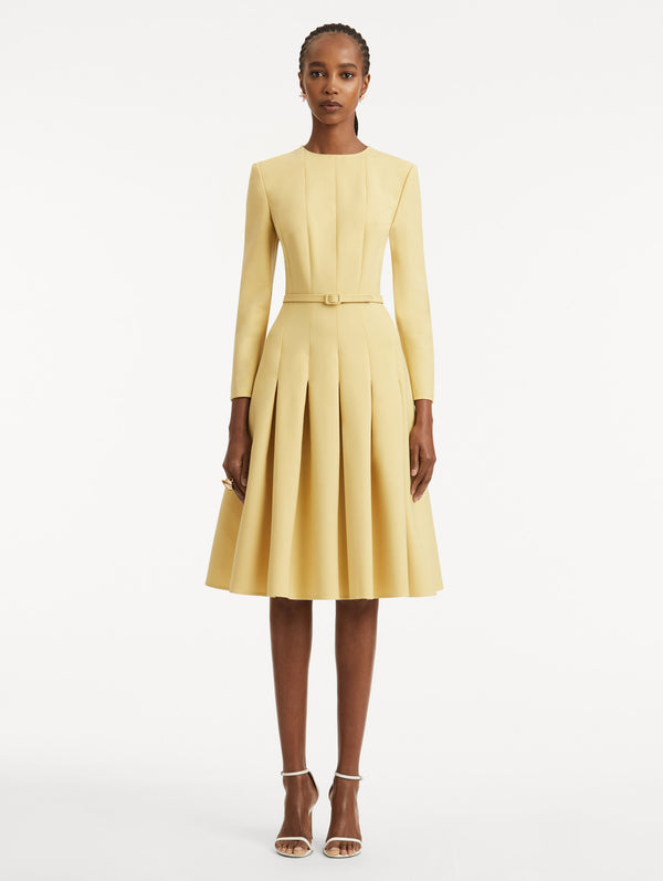Oscar De La Renta Belt-Detailed Pleated Dress