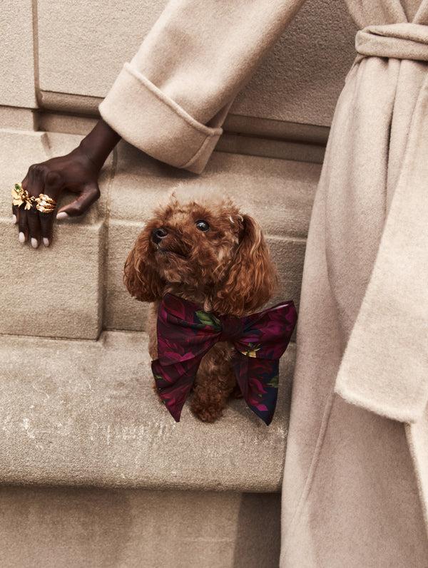 Oscar De La Renta ODLR X SimonSits Dahlia Dog Bow