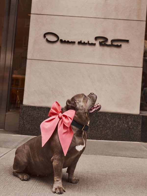 Oscar De La Renta ODLR X SimonSits Dog Bow