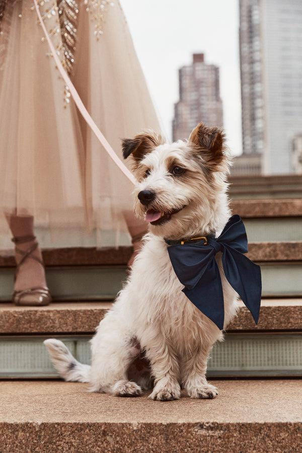 Oscar De La Renta ODLR X SimonSits Dog Bow