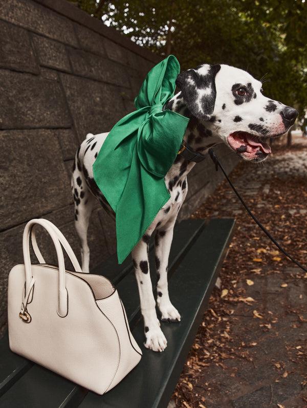 Oscar De La Renta ODLR X SimonSits Dog Bow