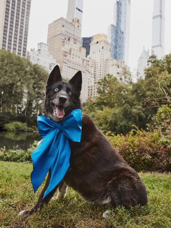 Oscar De La Renta ODLR X SimonSits Dog Bow