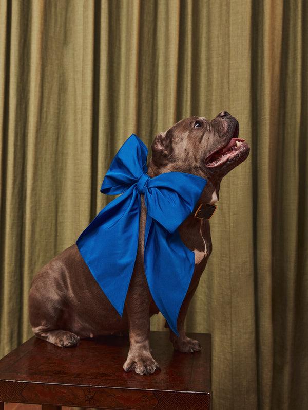 Oscar De La Renta ODLR X SimonSits Dog Bow