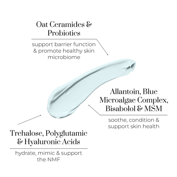 oskia Rest Day Comfort Cream