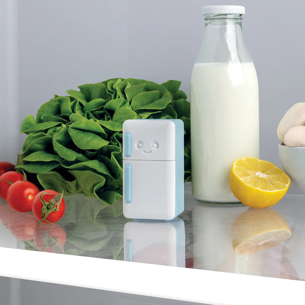 Ototo Cool Guy Fridge Deodorizer
