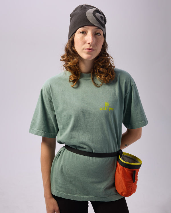 Ostrya Core Logo Heavy Du-Tee