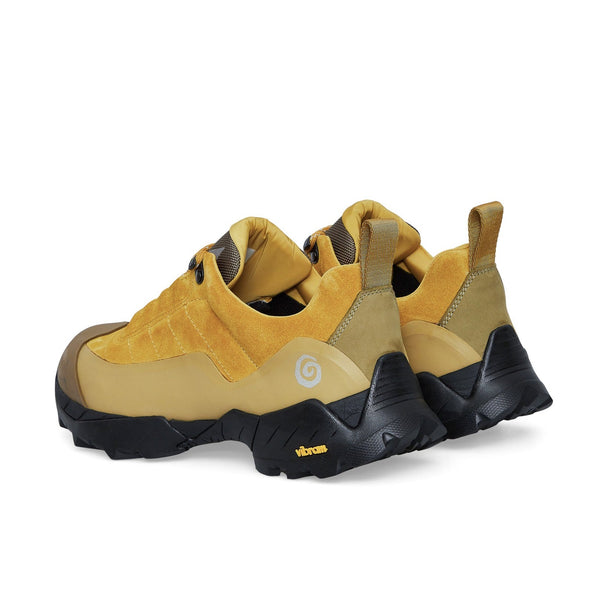 Ostrya Ostrya X Roa Katharina