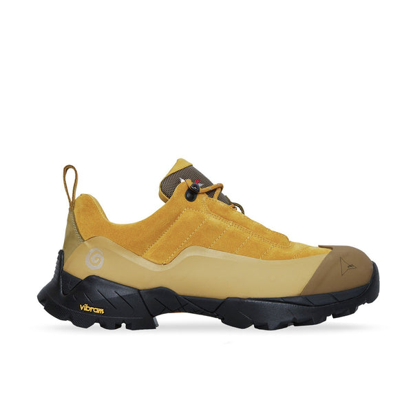 Ostrya Ostrya X Roa Katharina