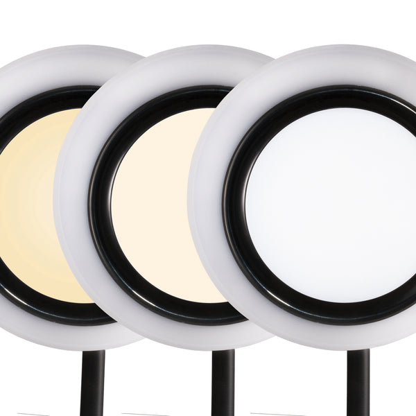 Ottlite Shine LED Desk Lamp With Wireless Charging