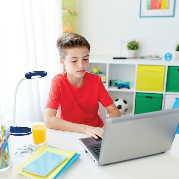 Ottlite Study LED Desk Lamp