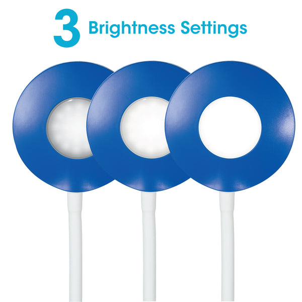 Ottlite Study LED Desk Lamp