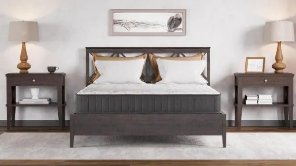 Ottomanson Forever Young Collection 9-Inch Hybrid Firm Queen Mattress