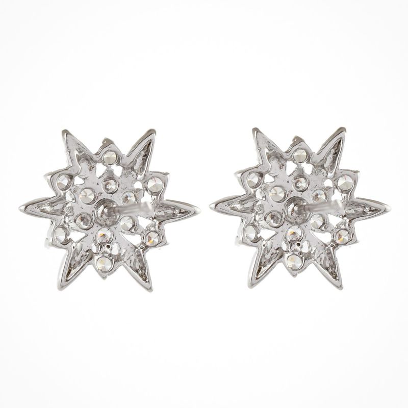 Oussum Round Cut Cubic Zirconia Earring Jewelry Flower Cluster Stud Earrings For Women