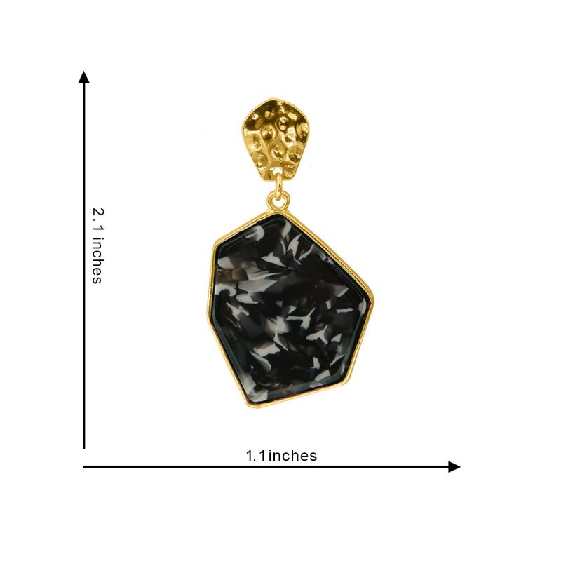 Oussum Turtoise Shell Geometric Resin Earrings For Womens