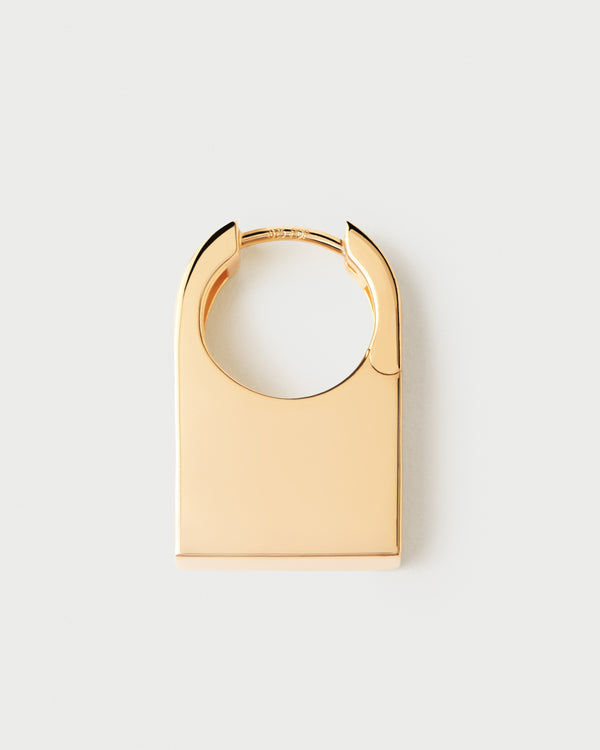 P D Paola Chicago Hoops