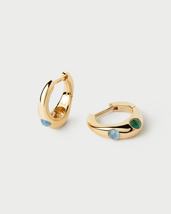 P D Paola Coral Hoops