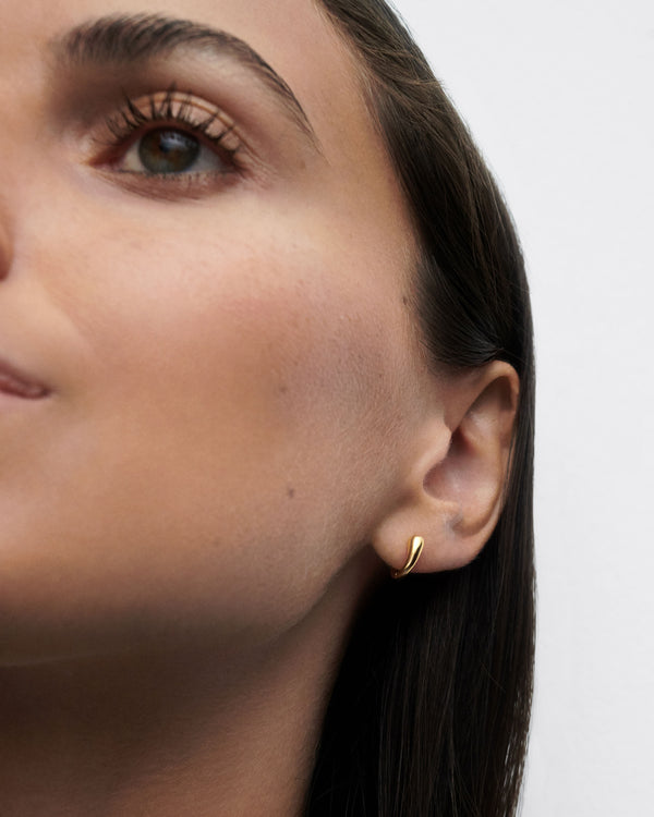 P D Paola Loop Single Hoop