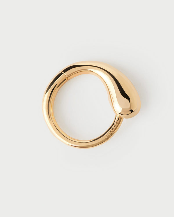 P D Paola Loop Single Hoop
