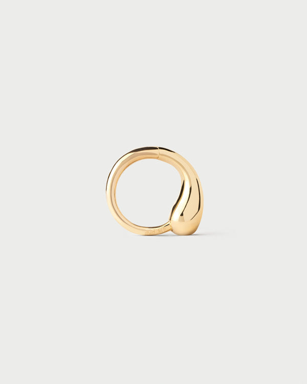P D Paola Loop Single Hoop