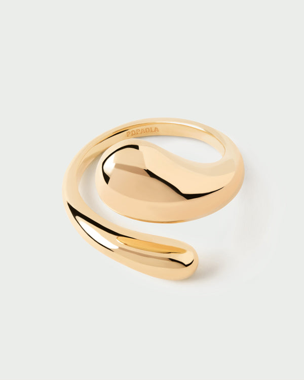 P D Paola Orbit Ring