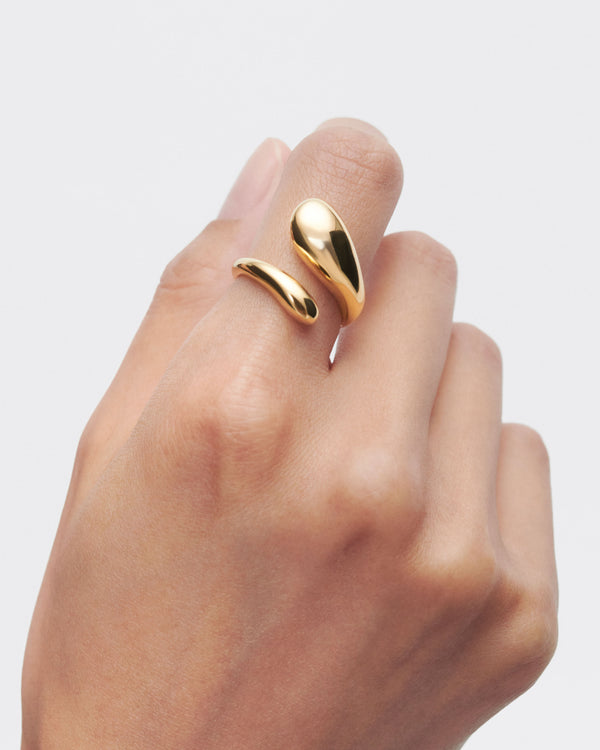 P D Paola Orbit Ring