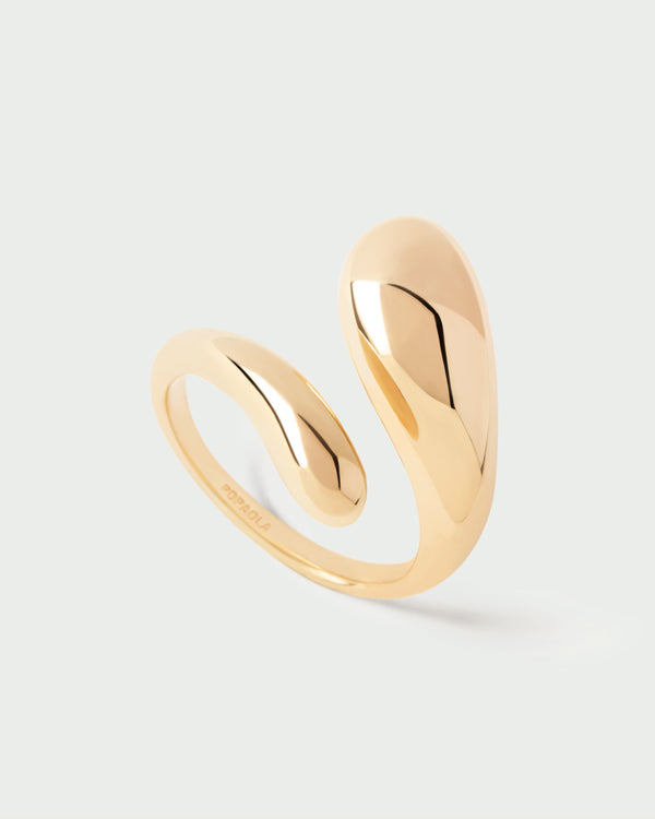 P D Paola Orbit Ring