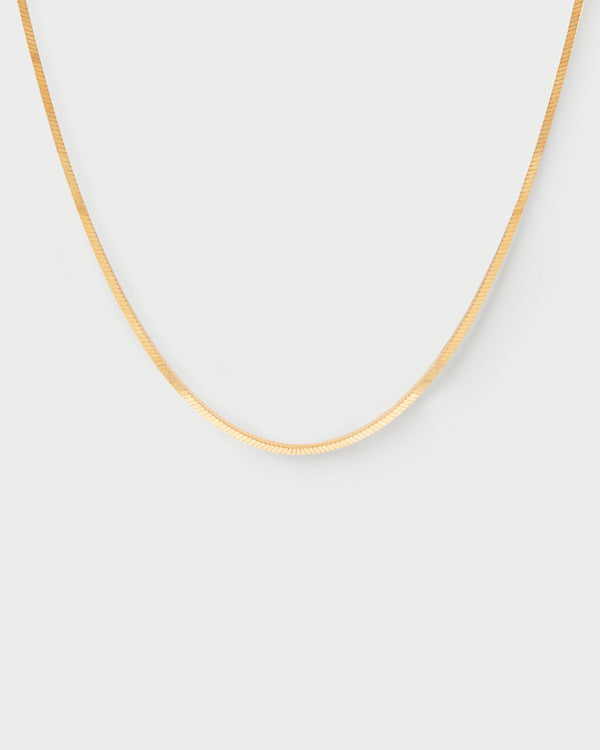 P D Paola Snake Necklace