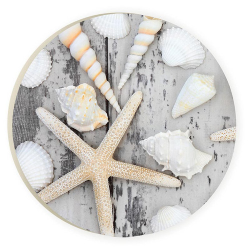 P. Graham Dunn Coastal Collection Car Coaster (Retail Pack) - Starfish And Shells