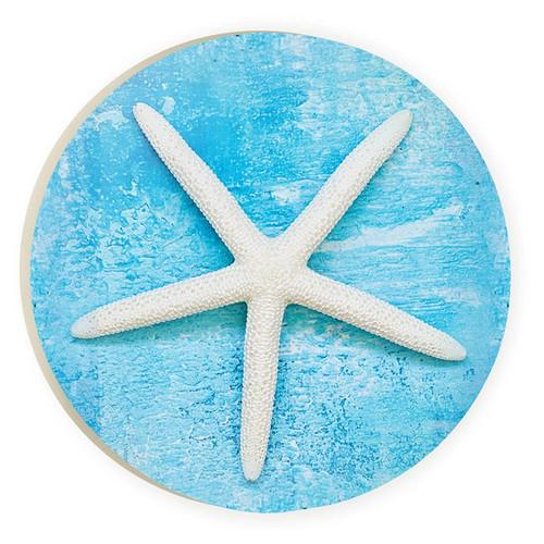 p. graham dunn Coastal Collection Car Coaster (Retail Pack) - Starfish