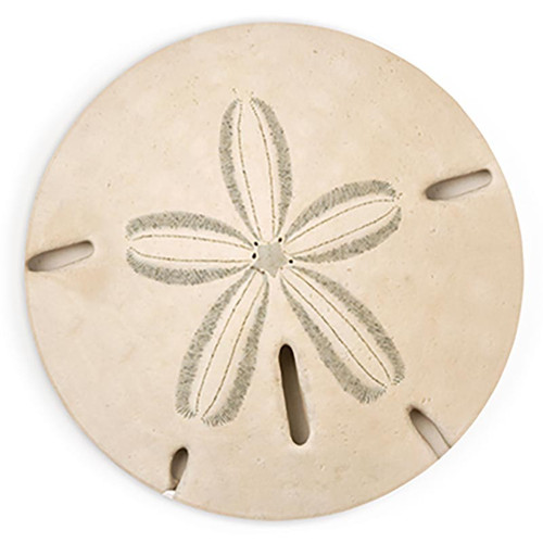p. graham dunn Coastal Collection Round Coaster - Sand Dollar