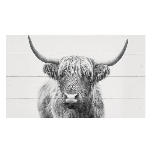 p. graham dunn Heartland Home Collection Pallet Sign - Highland Cow