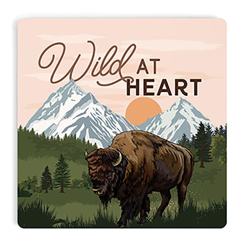 p. graham dunn Lake & Lodge Collection Coaster - Wild At Heart