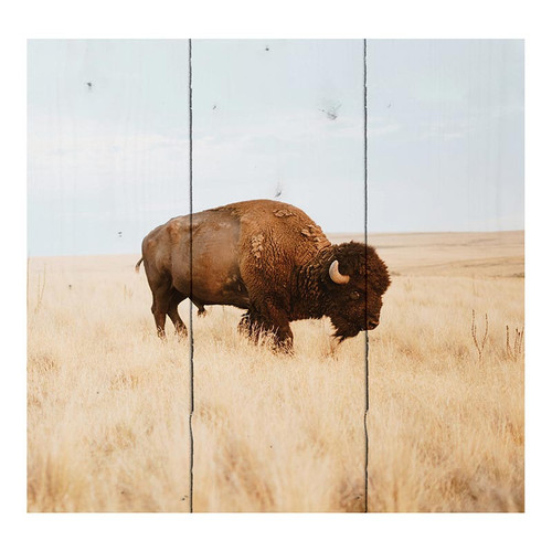 P. Graham Dunn Lake & Lodge Collection Pallet Sign - Buffalo