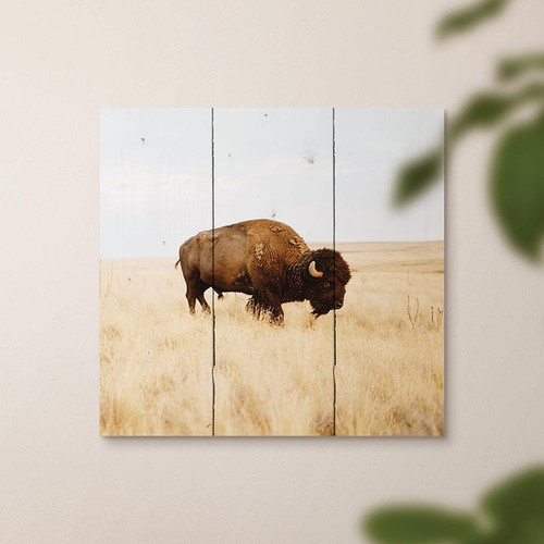 p. graham dunn Lake & Lodge Collection Pallet Sign - Buffalo