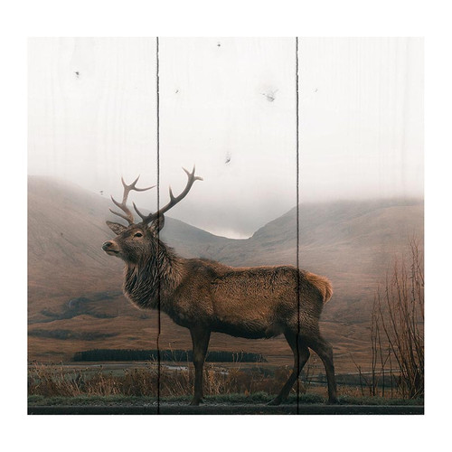 P. Graham Dunn Lake & Lodge Collection Pallet Sign - Deer