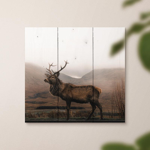 p. graham dunn Lake & Lodge Collection Pallet Sign - Deer