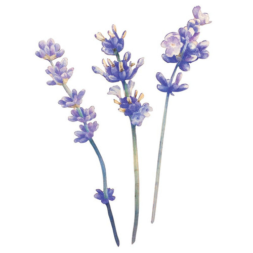 p. graham dunn Let Kindness In Collection Wood Flowers