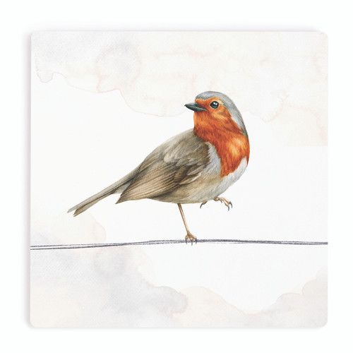 P. Graham Dunn Ceramic Coasters - Brown Headed Thrush