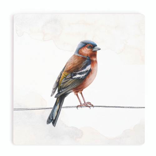 p. graham dunn Ceramic Coasters - Oriole