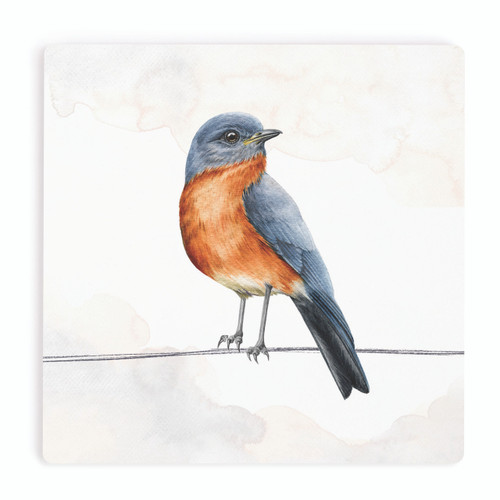 P. Graham Dunn Ceramic Coasters - Robin