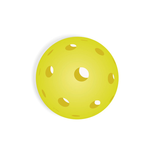 P. Graham Dunn Pickleball Car Coaster (Retail Pack) - Ball