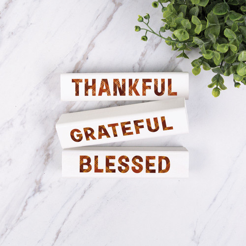p. graham dunn Stick Signs Set - Thankful Grateful Blessed - 3Pcs
