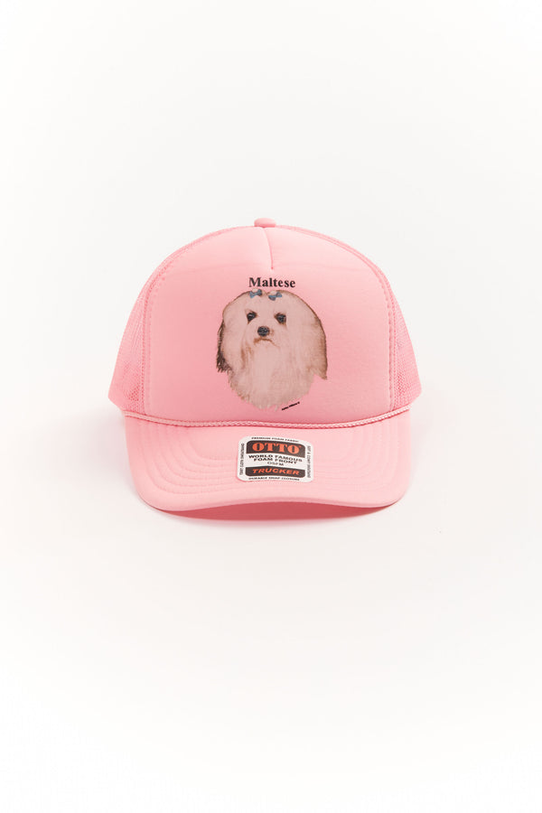p.a.m. perks and mini MALTESE PINK CAP