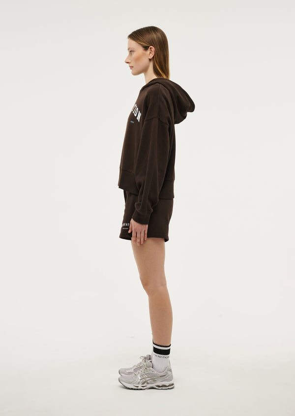 P.e Nation Vantage Hoodie In Turkish Coffee