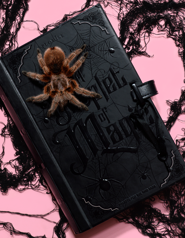 P.louise P. Louise A Droplet Of Magic Halloween Eyeshadow Palette