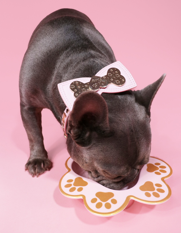 P.louise P.Louise Dog Bowl