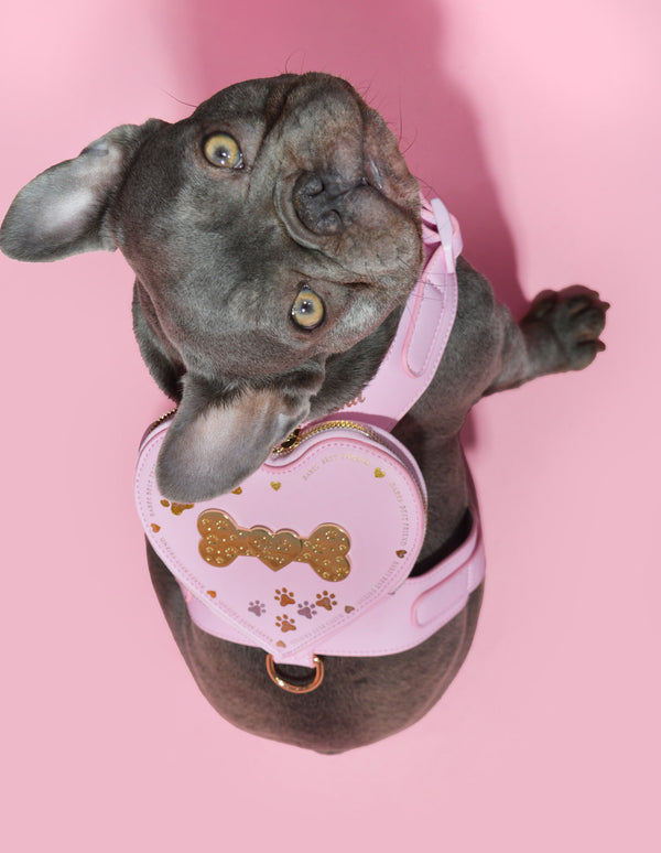 p.louise P.Louise Dog Harness Backpack