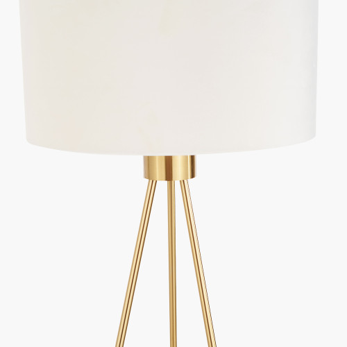 Pacific Lifestyle Houston Brushed Brass Metal Tripod Floor Lamp