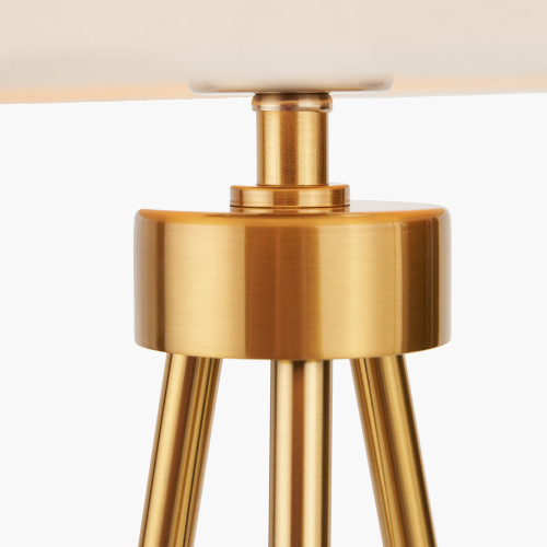 Pacific Lifestyle Houston Brushed Brass Metal Tripod Table Lamp